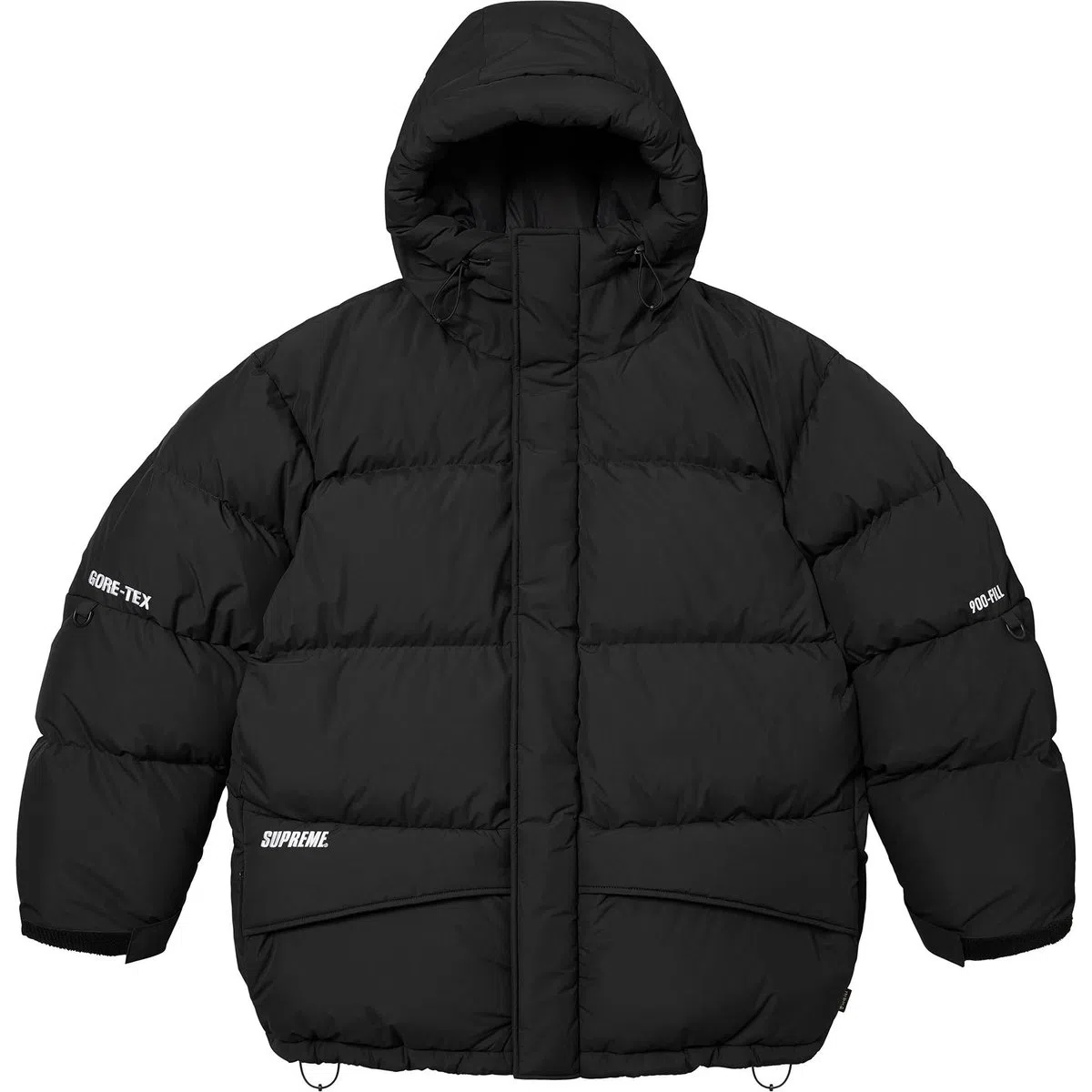 Supreme FW24 GORE-TEX Down Parka