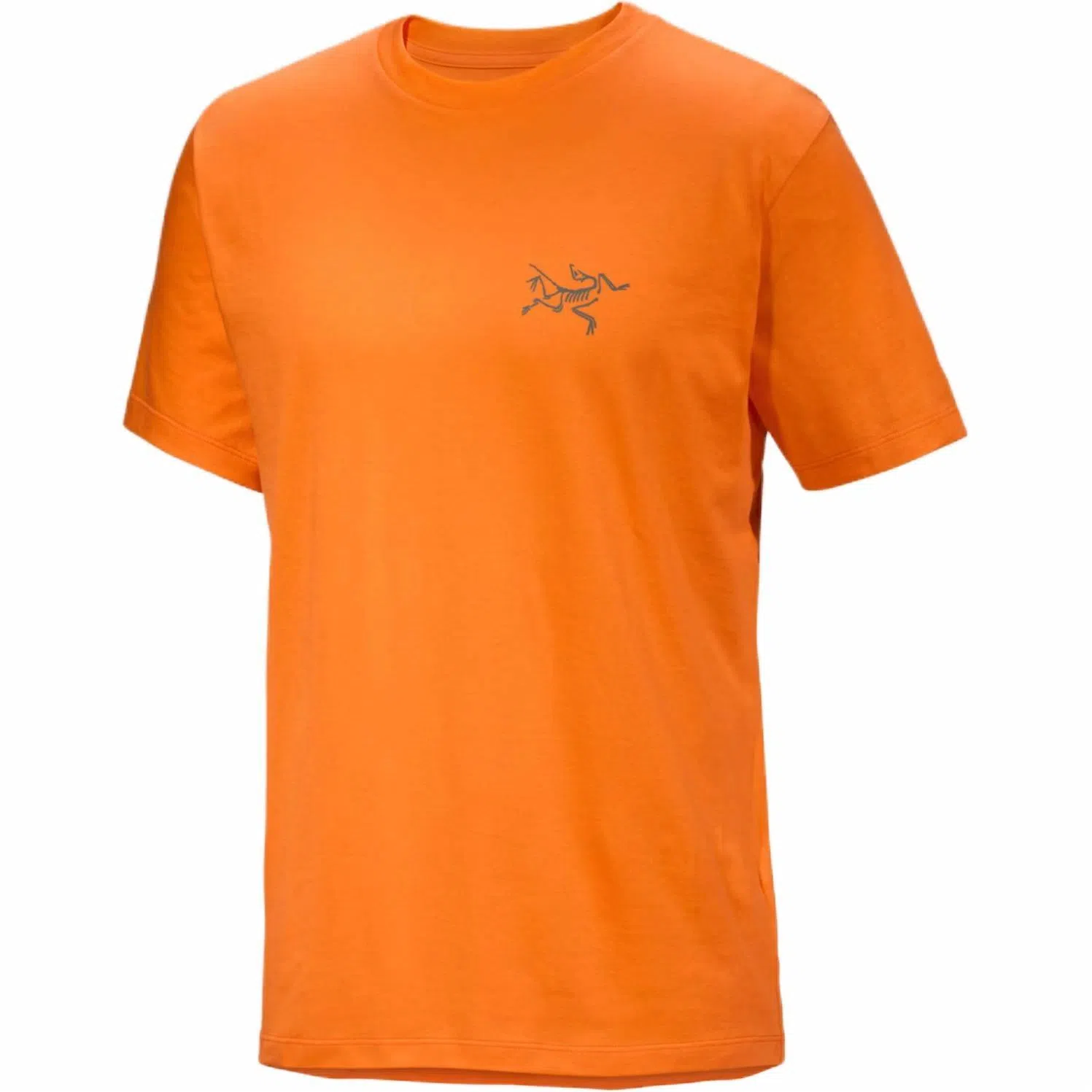 Arcteryx Kragg SL logoT