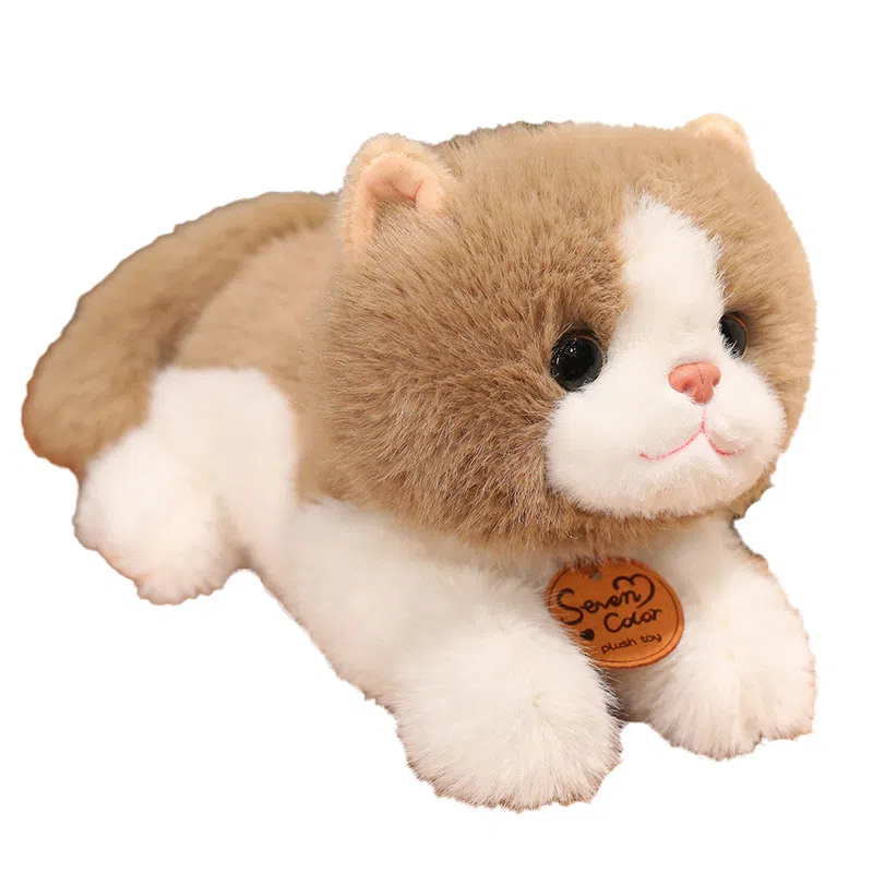 MORTEN SOLUM 25cm35cm