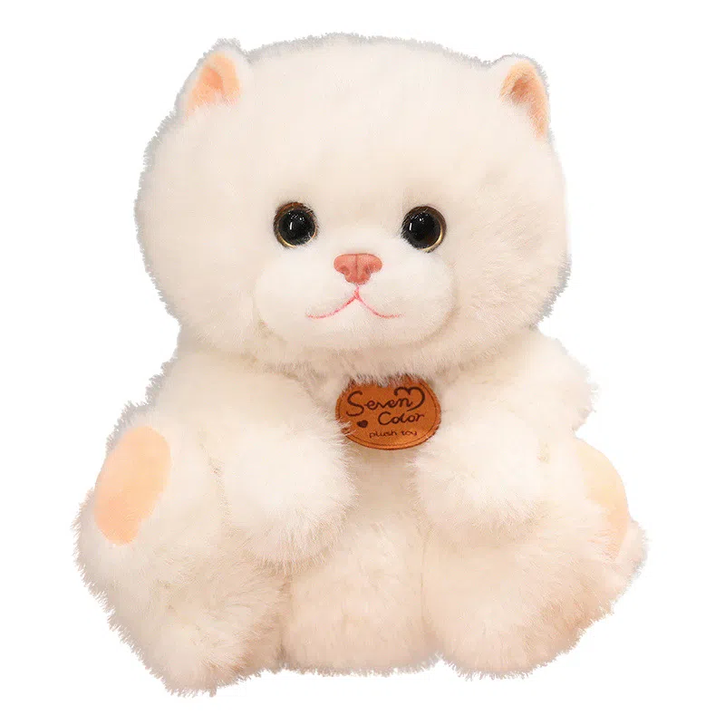 MORTEN SOLUM 25cm35cm