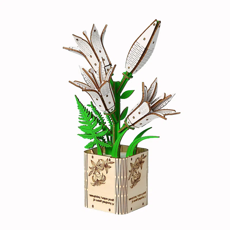 MORTEN SOLUM 3D 0-300pcs MO24A794252970654