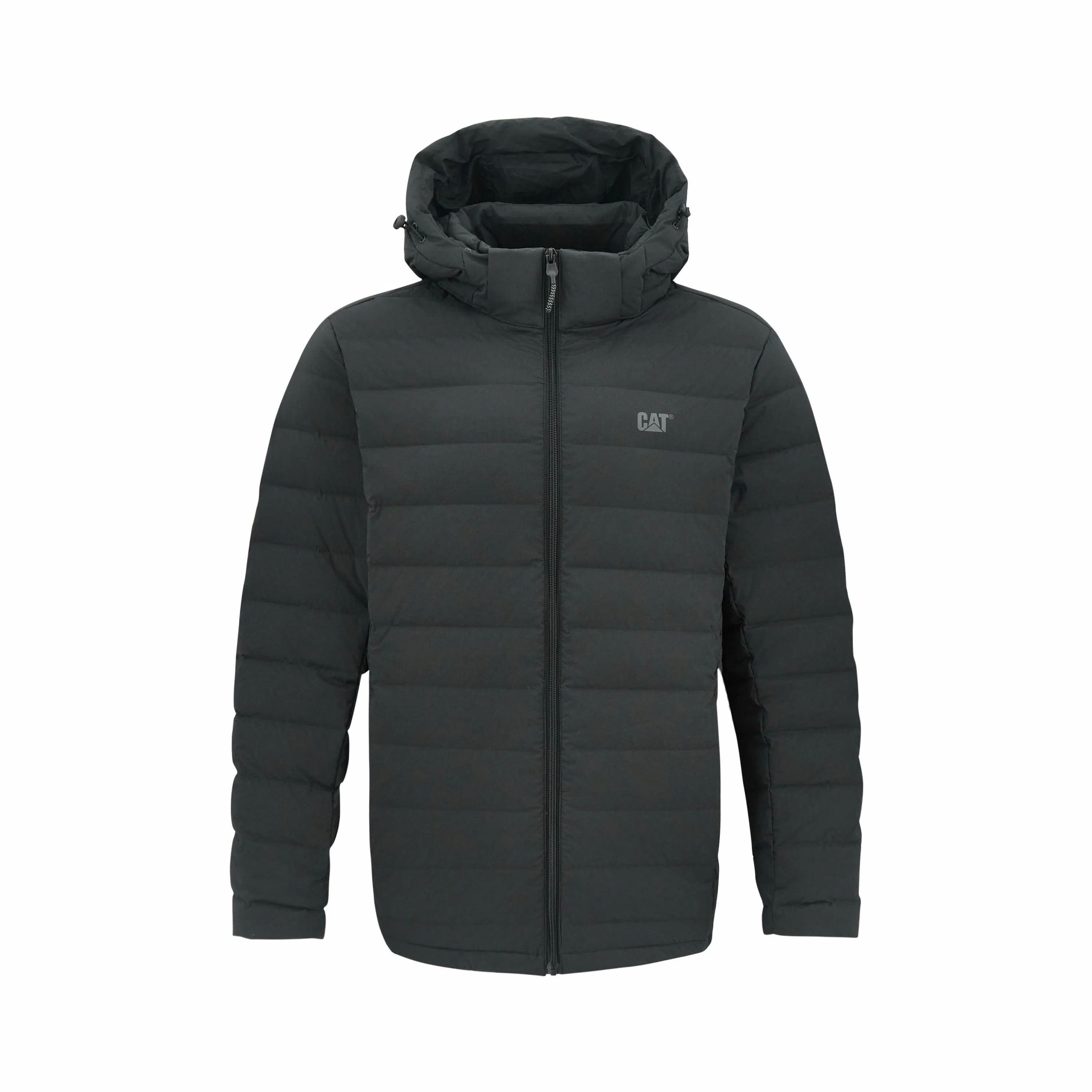 CAT FW24