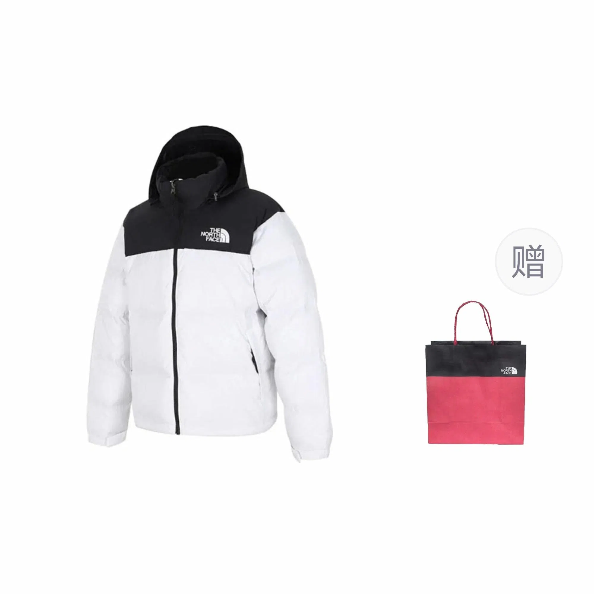 THE NORTH FACE 1996 Logo