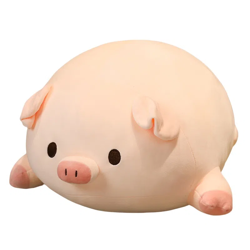 40cm50cm60cm80cm100cm