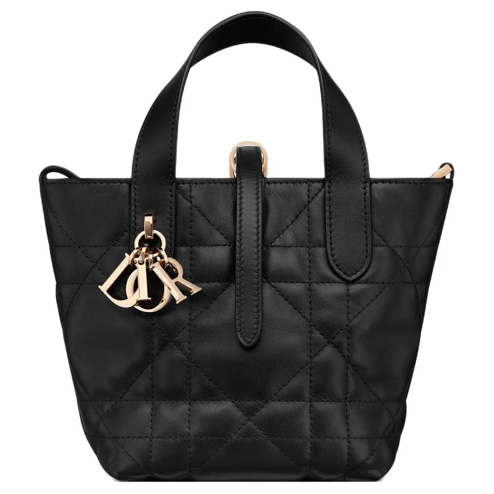 DIOR Toujours CD Lock Tote nano