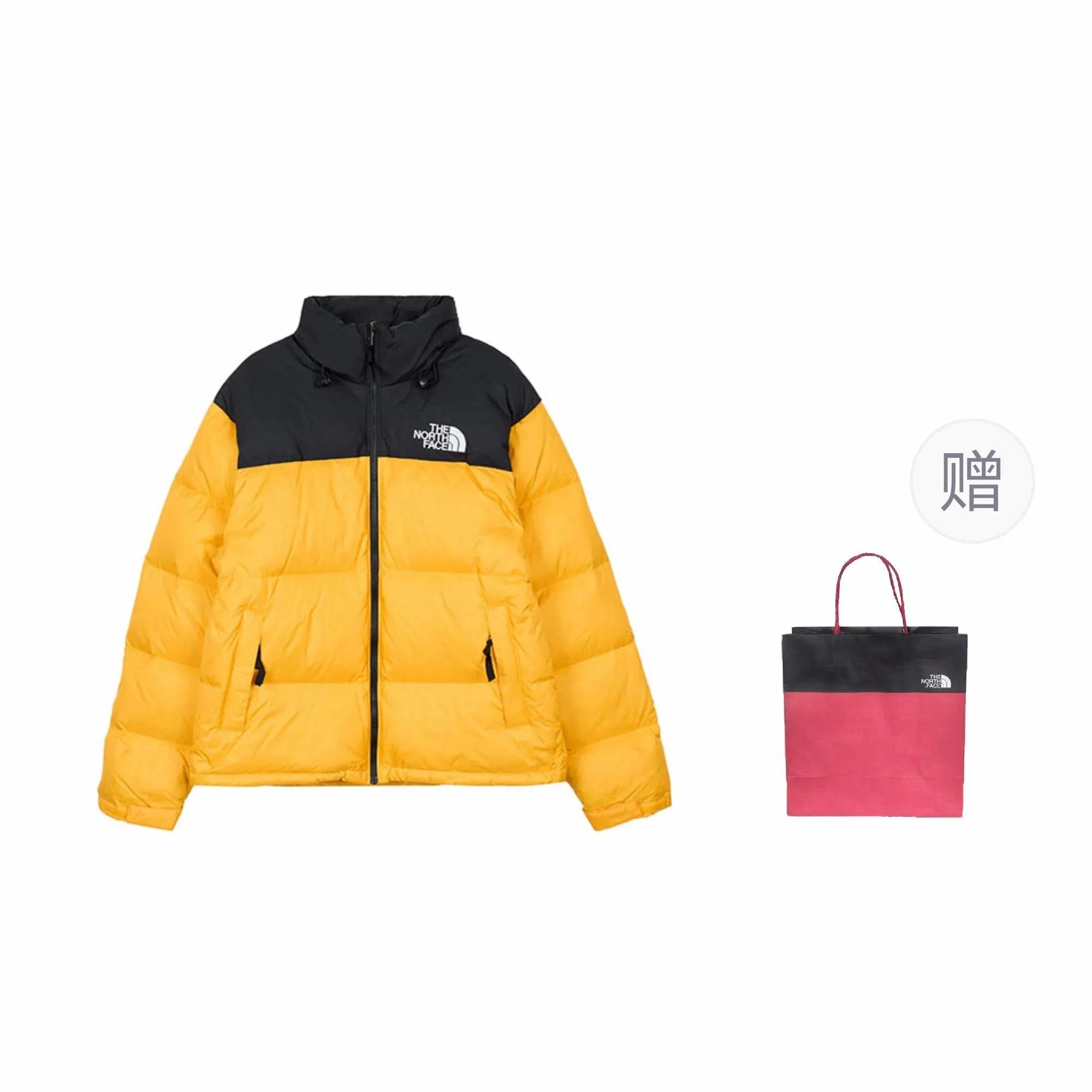 THE NORTH FACE 1996 logo