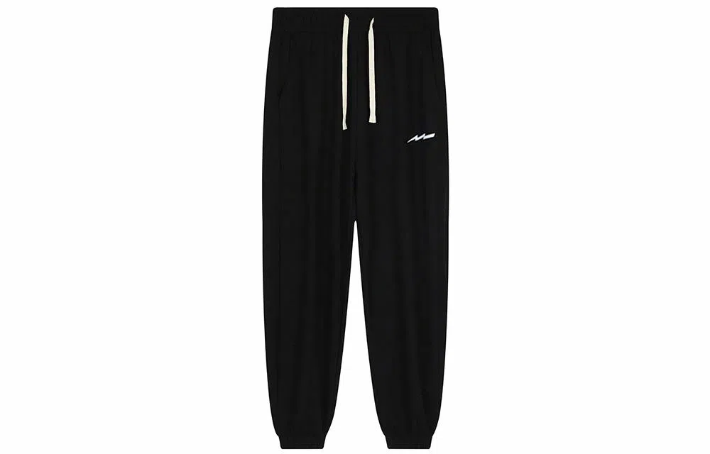 Lightning X Storm Logo