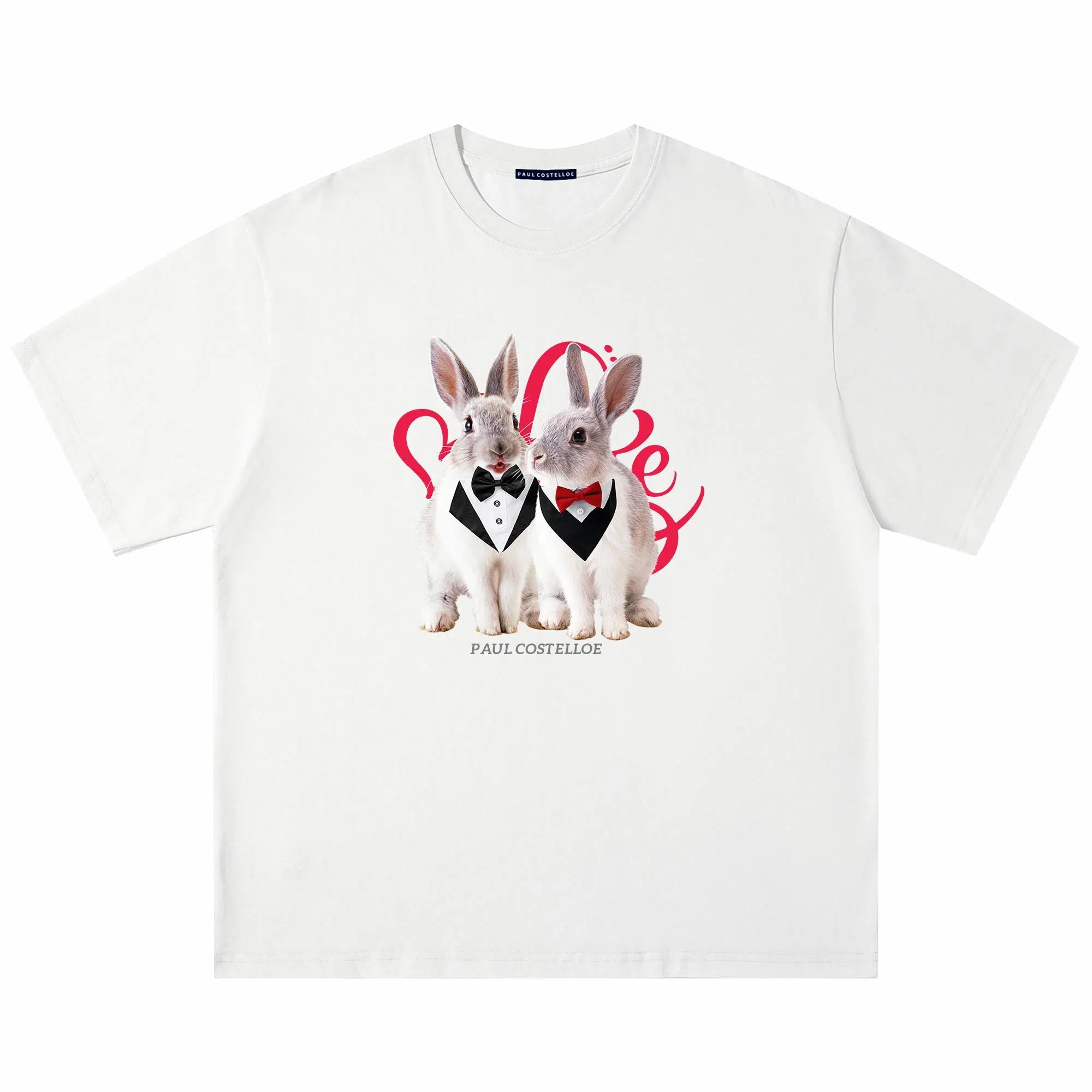 PAUL COSTELLOE logoT