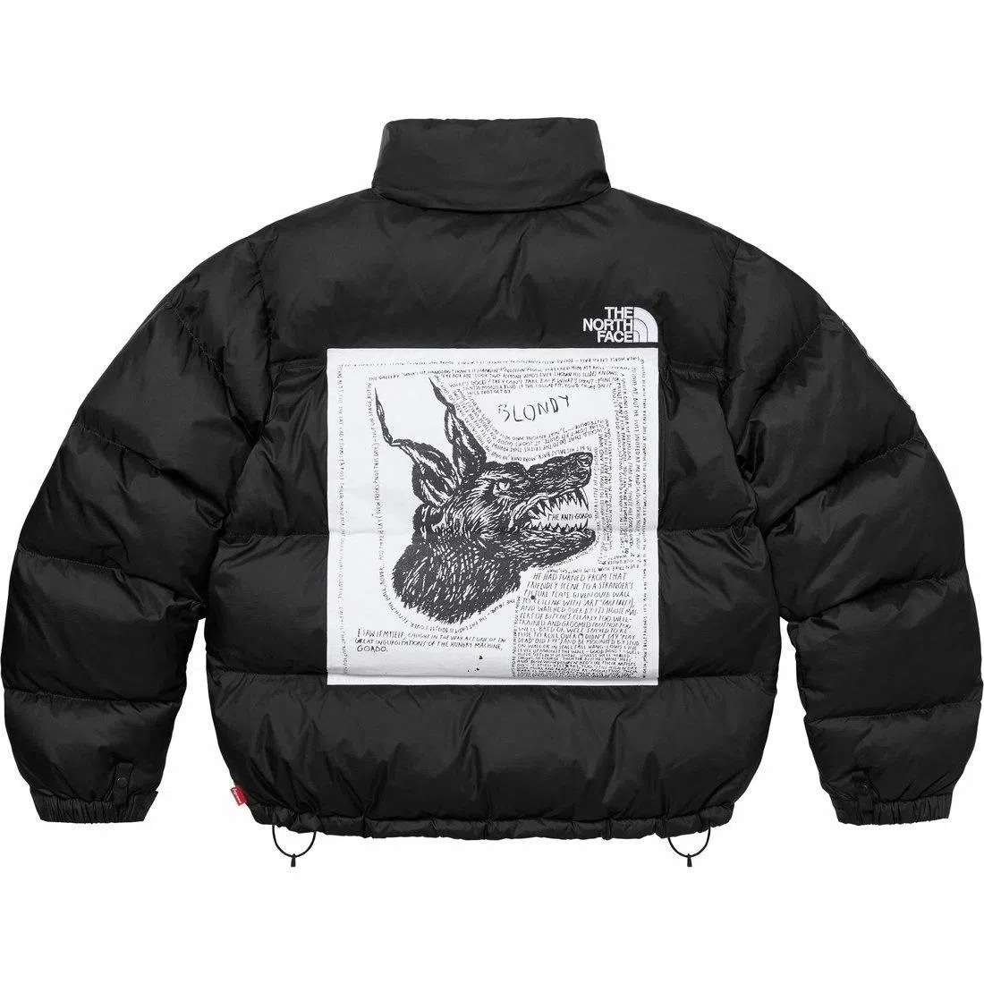 Supreme x The North Face