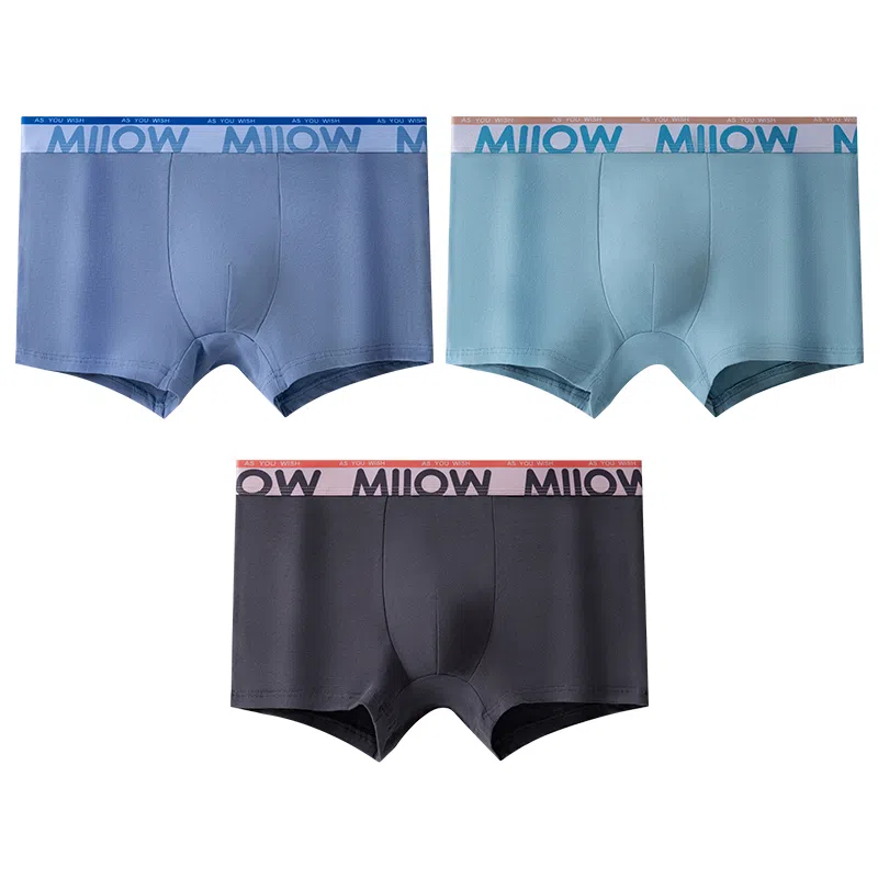 MIIOW 10Alogo 3