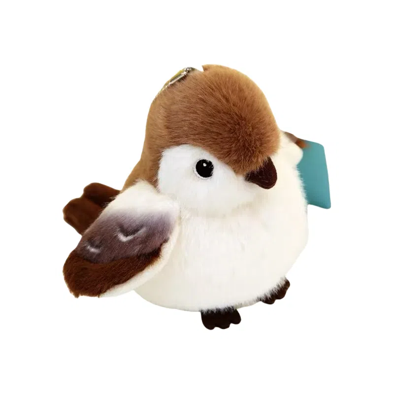 12cm