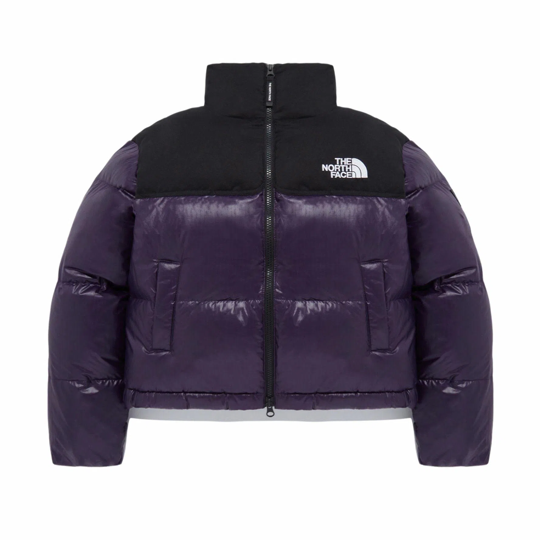 THE NORTH FACE Nuptse NOVELTY RDS DOWN