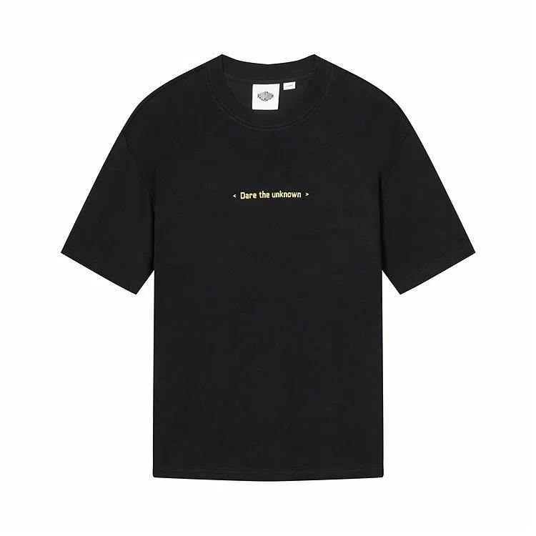 Palladium T