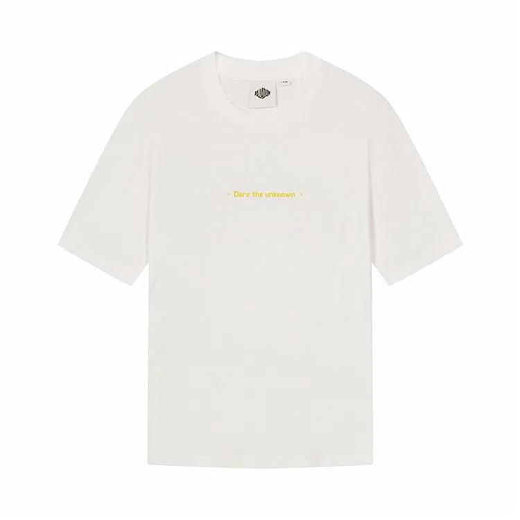 Palladium T