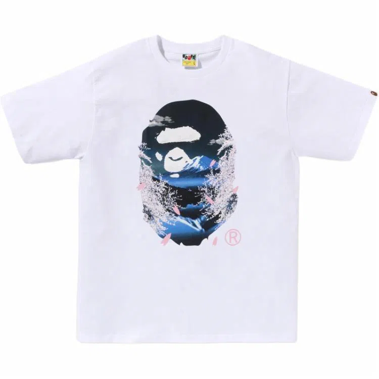 BAPE SS25
