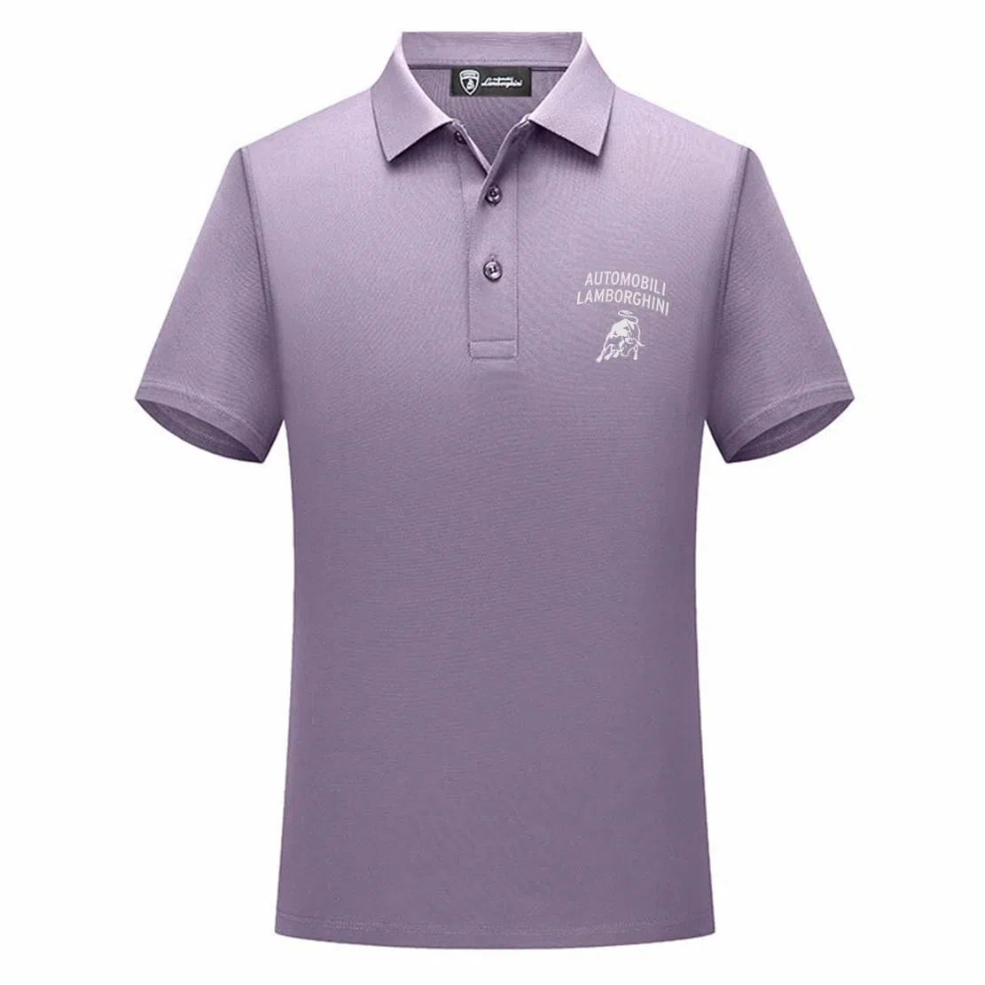 Automobili Lamborghini Polo