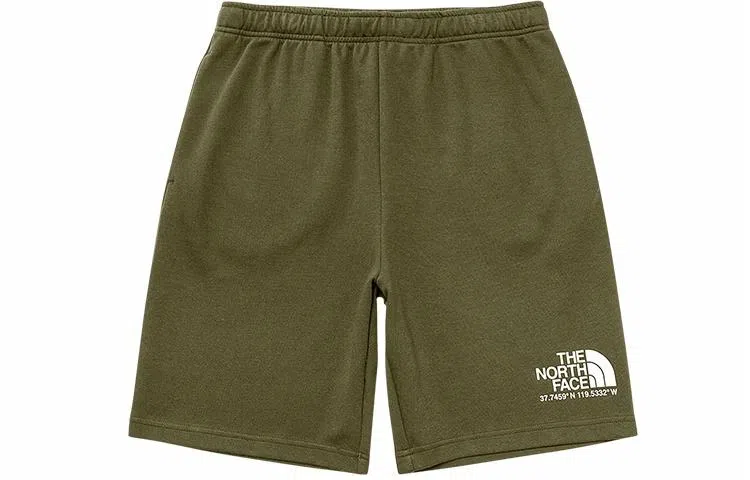 THE NORTH FACE SS22 logo