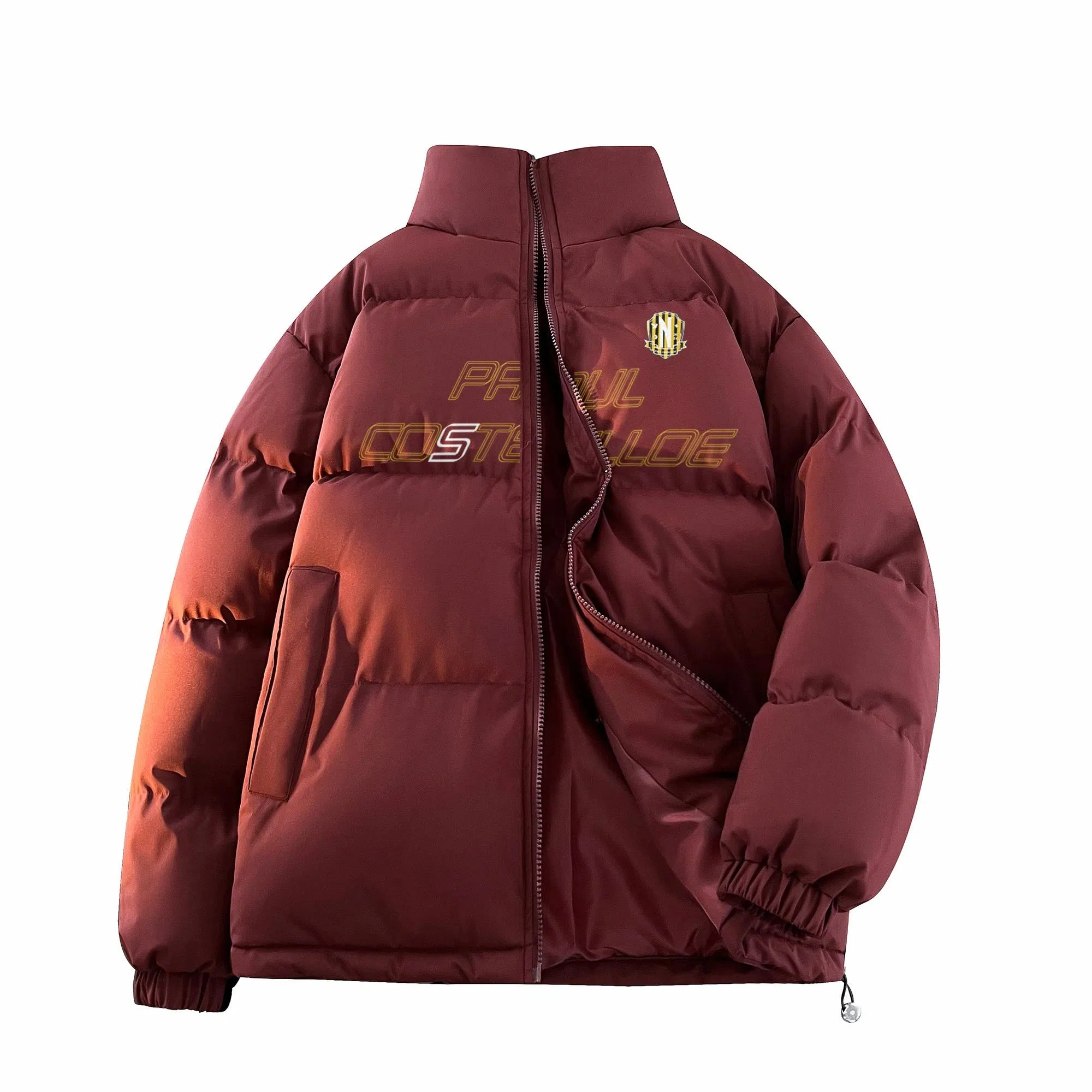 PAUL COSTELLOE LogoLogo