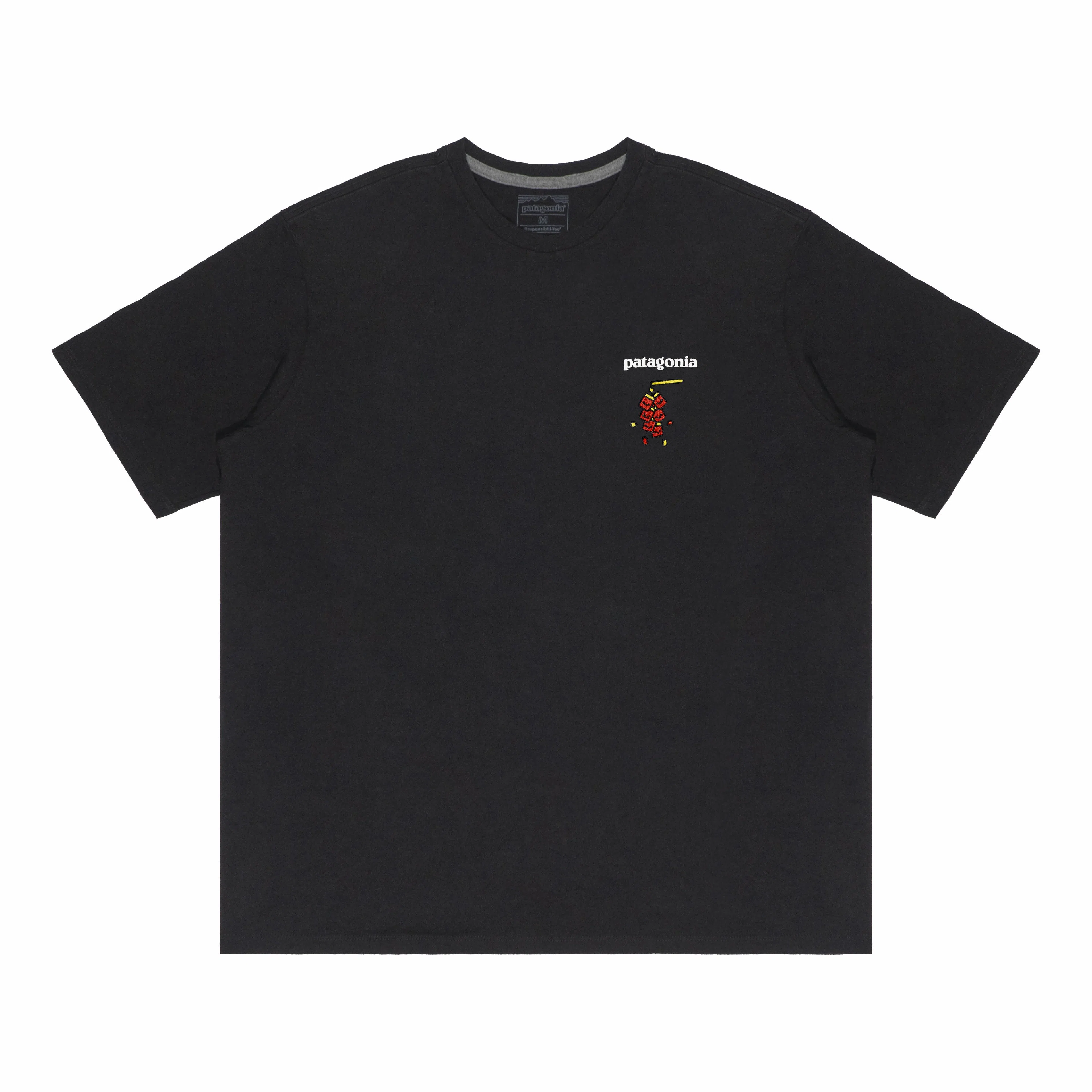 patagonia Extraordinary T BLK