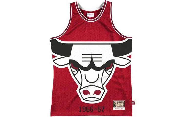 Mitchell Ness 66-67