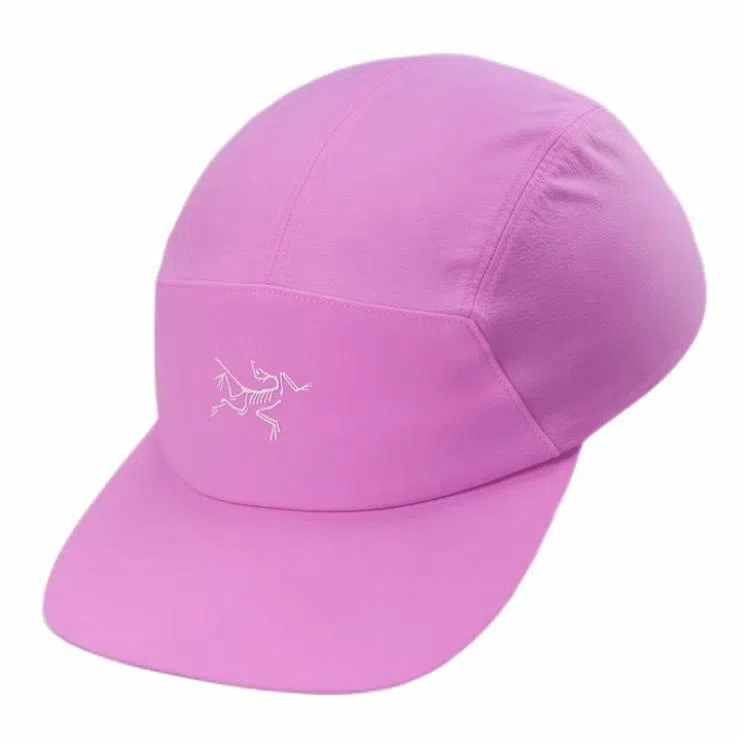 Arcteryx Logo Cap Purple