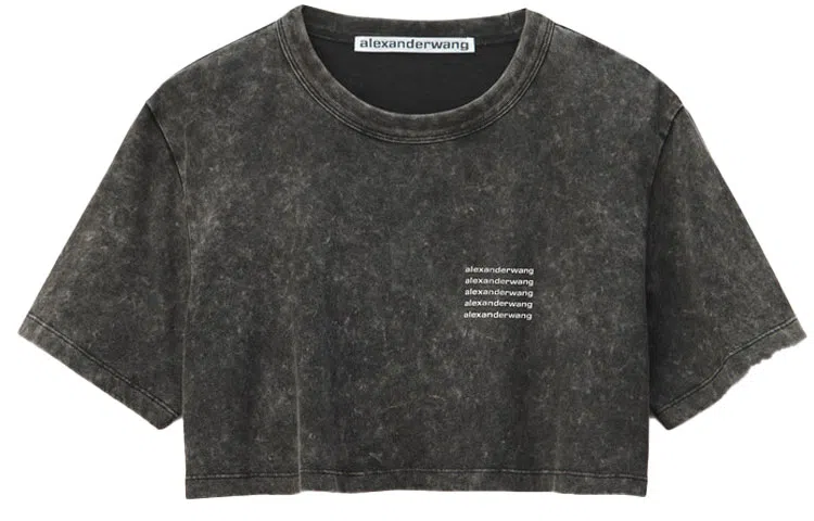 Alexander Wang SS22 Logo Tee Gray