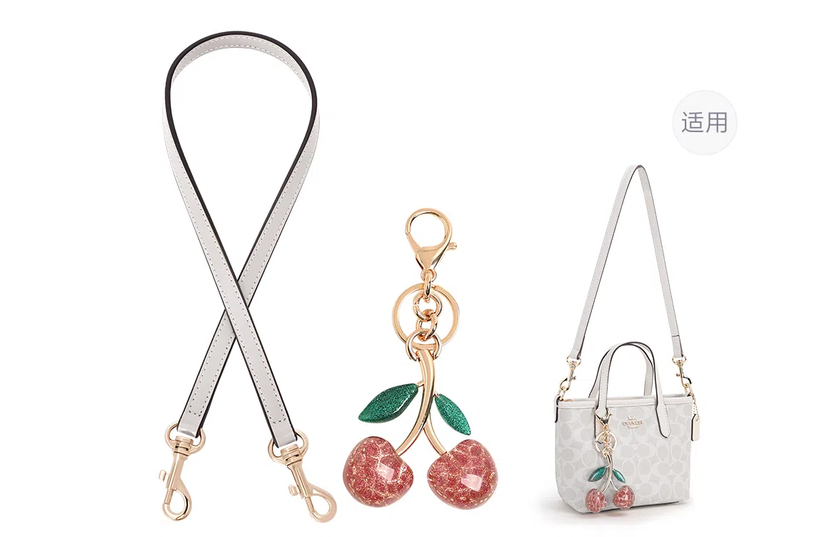GUYI COACH city15 Totemini