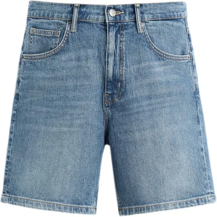ZARA Denim Shorts