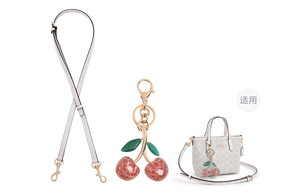 GUYI COACH city15 Totemini