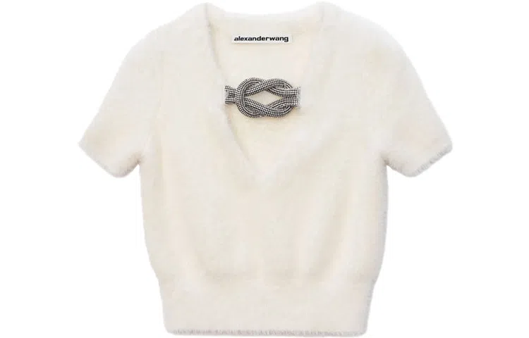 alexander wang FW21 T