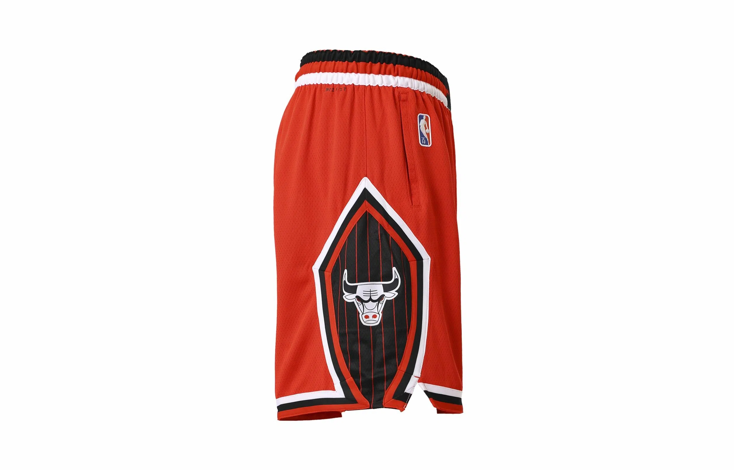 Nike NBA Chicago Bulls Fan Shorts Red