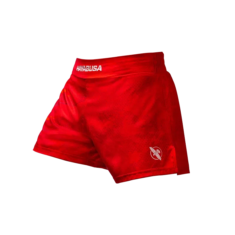 HAYABUSA
