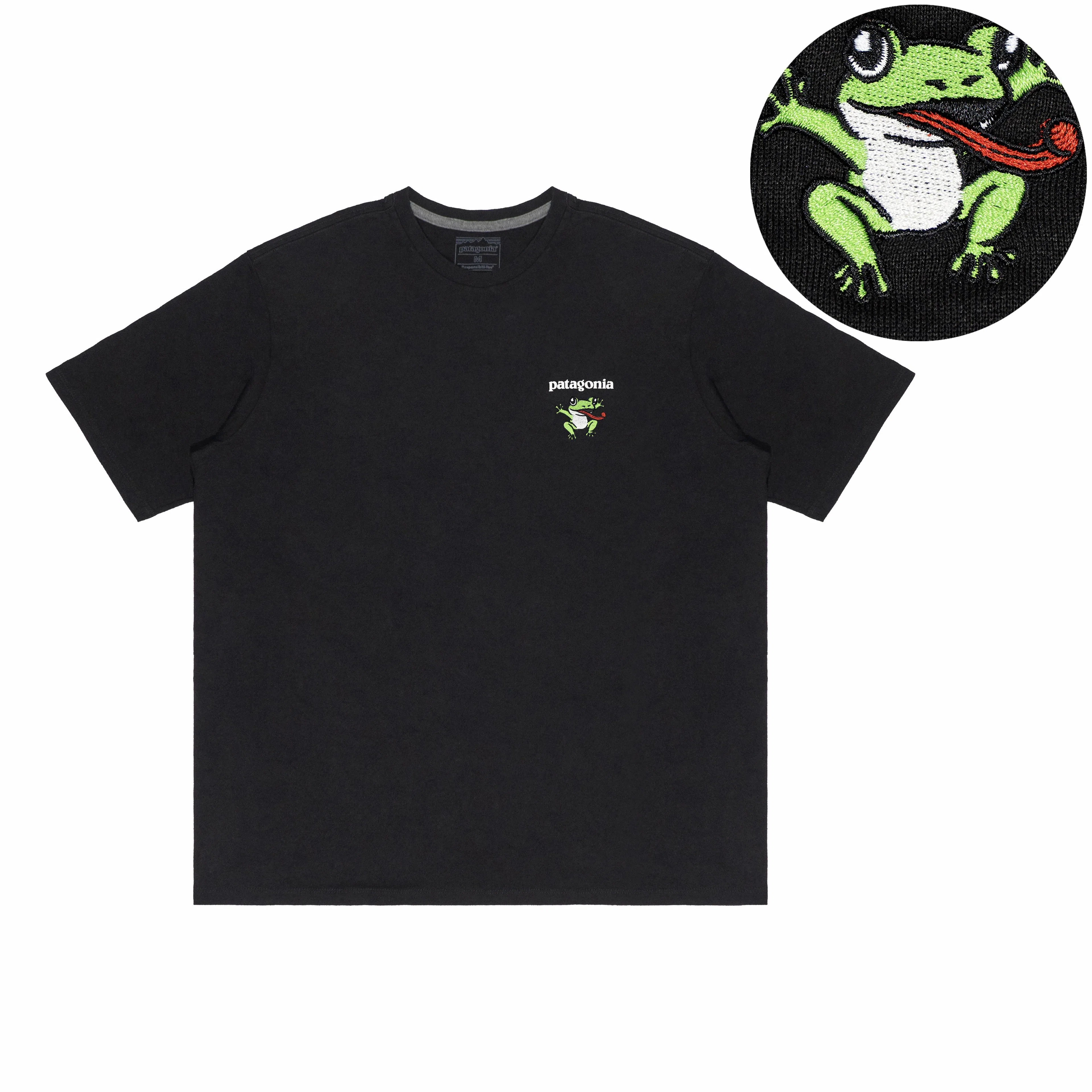 patagonia Extraordinary T