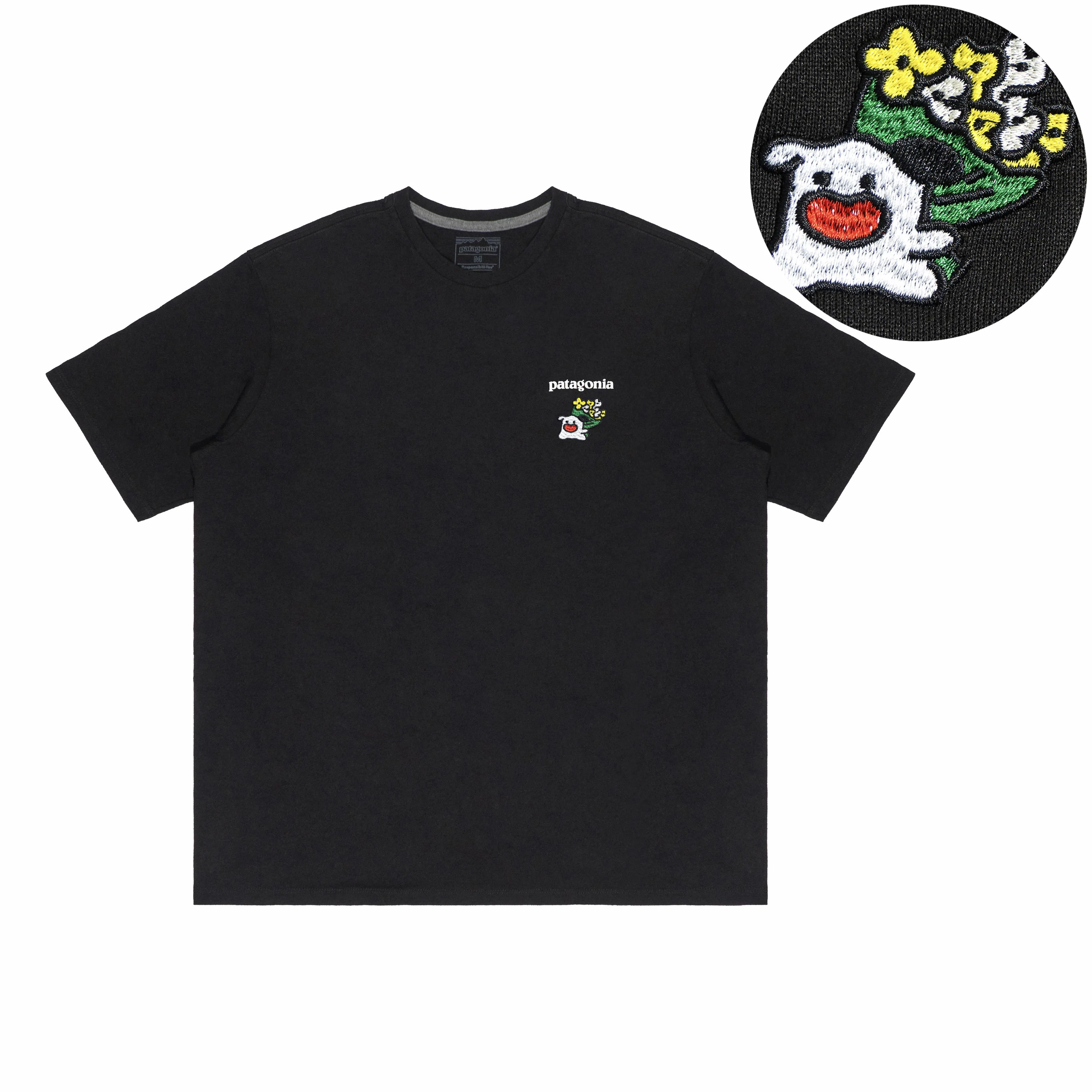 patagonia Extraordinary T