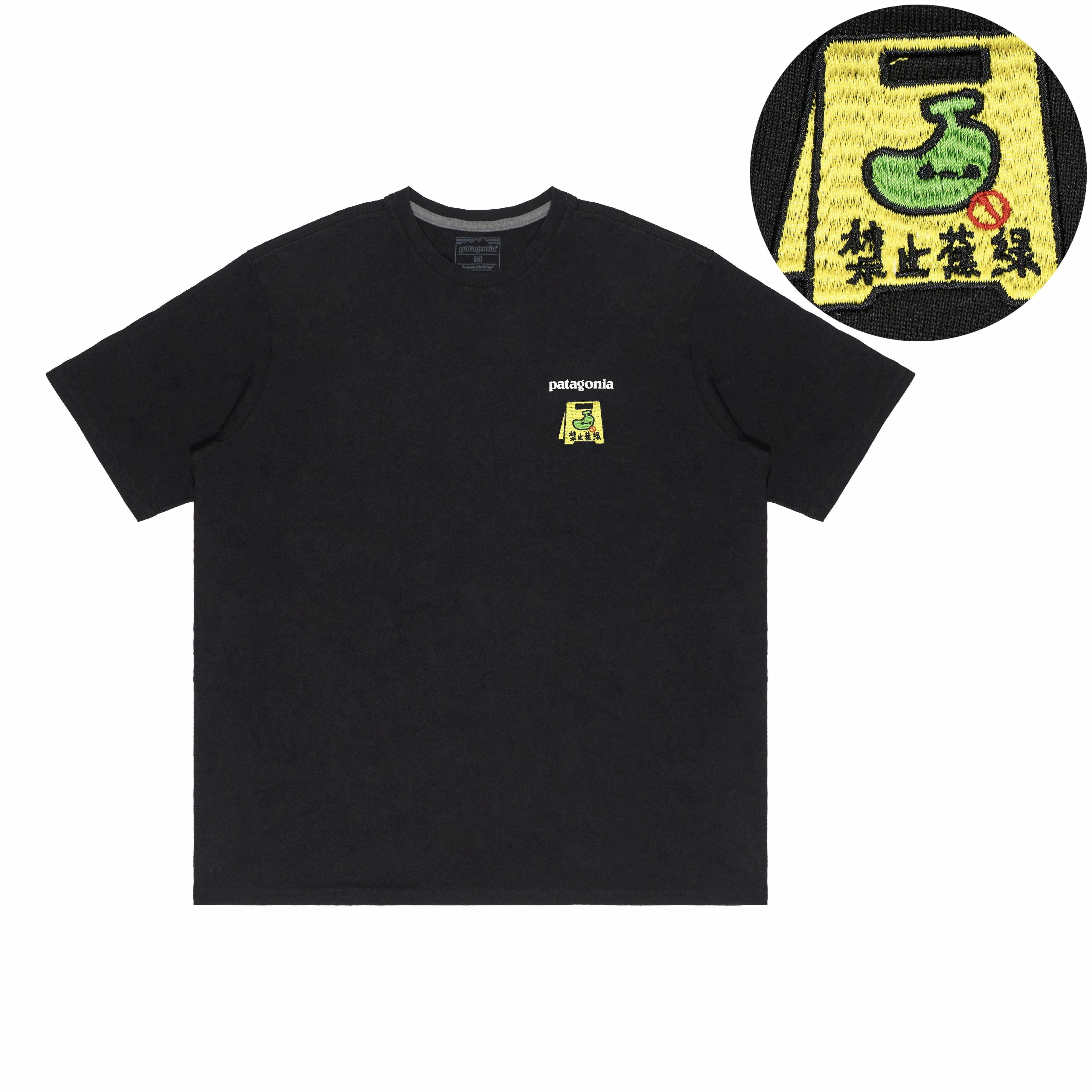 patagonia Extraordinary T