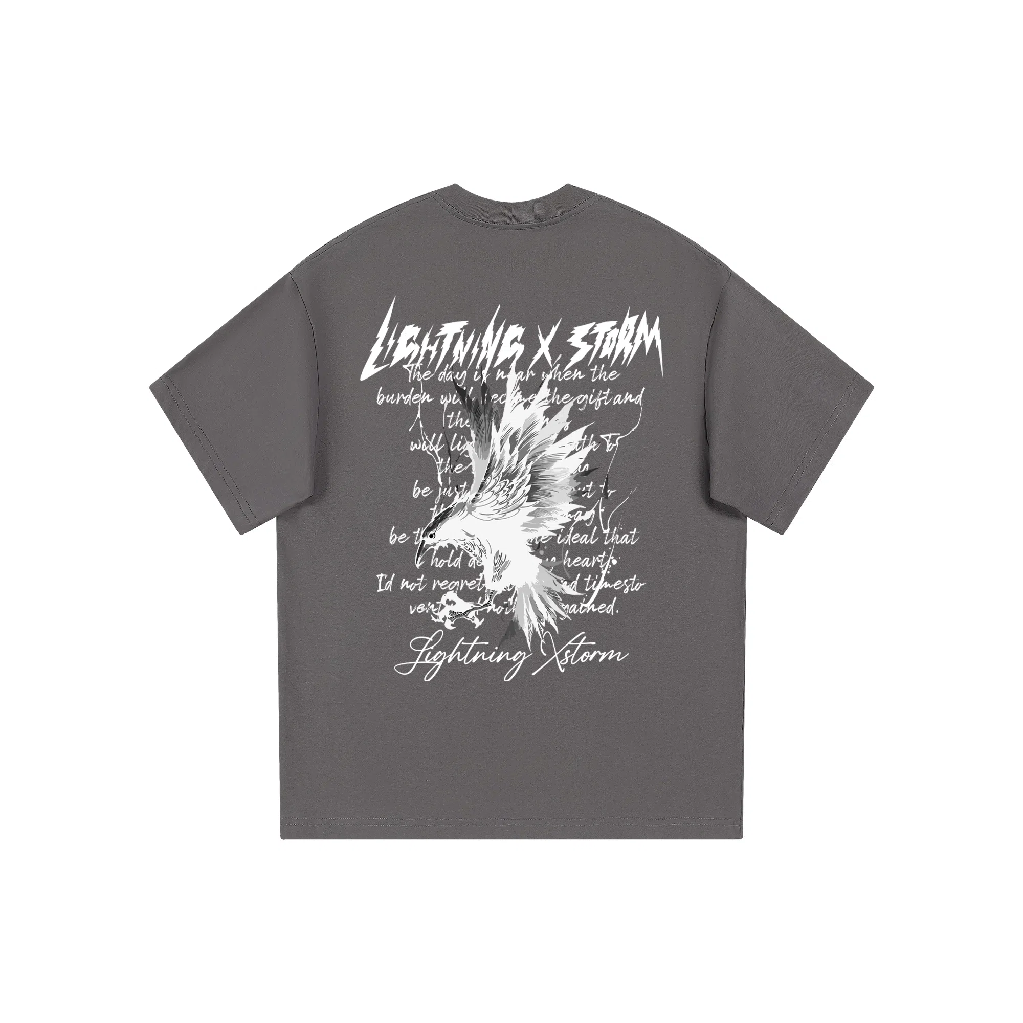 Lightning X Storm T