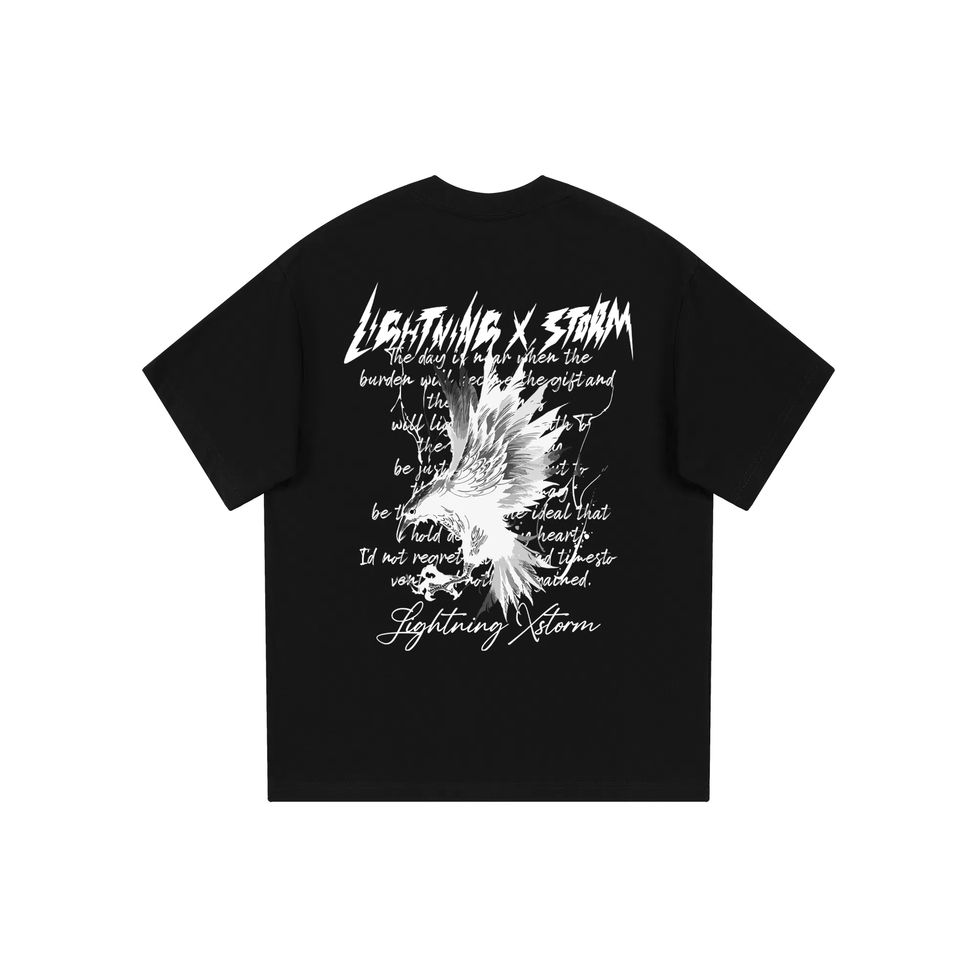 Lightning X Storm T