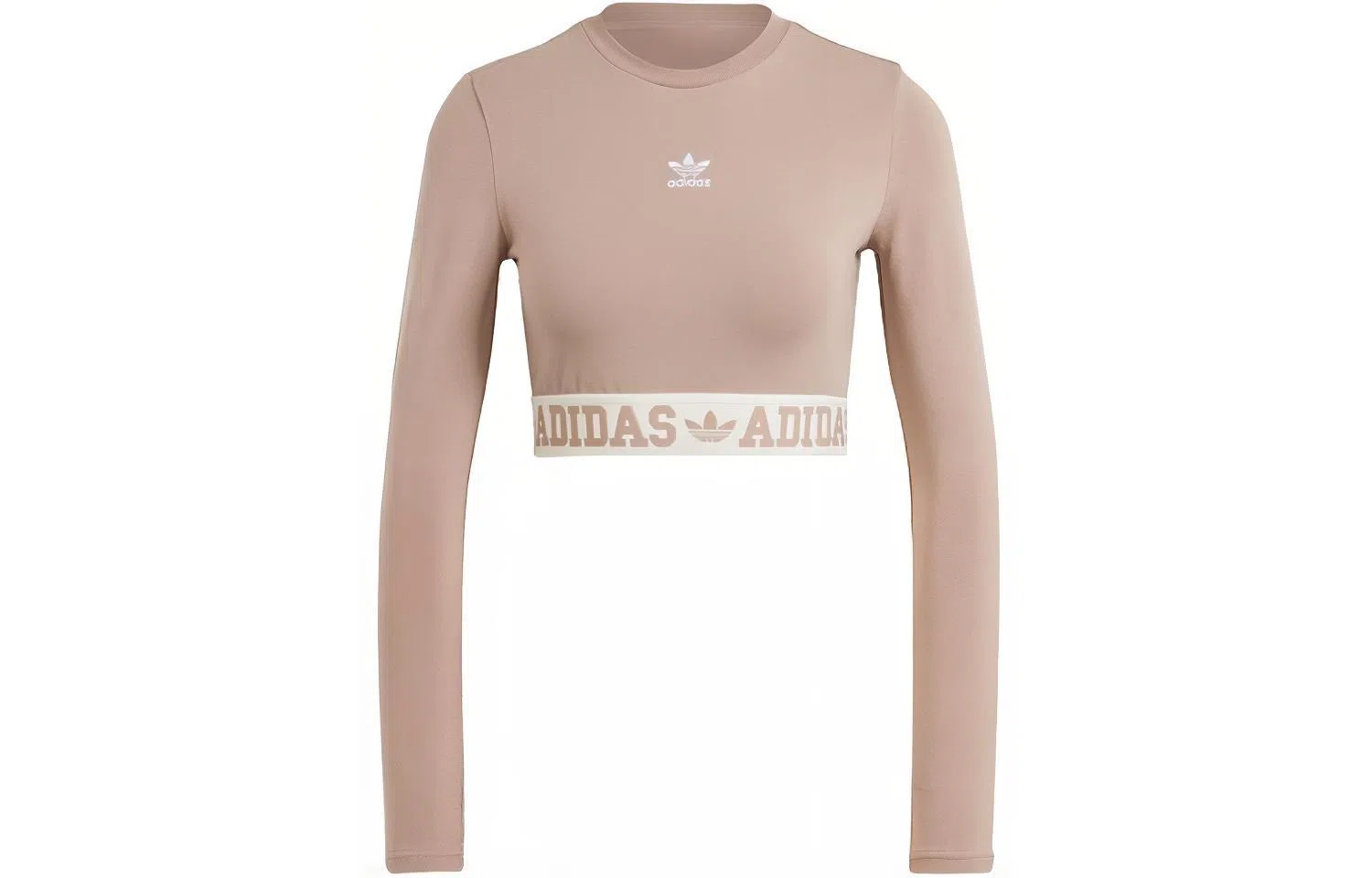 adidas originals Neutral Court Graphic Tee LogoT