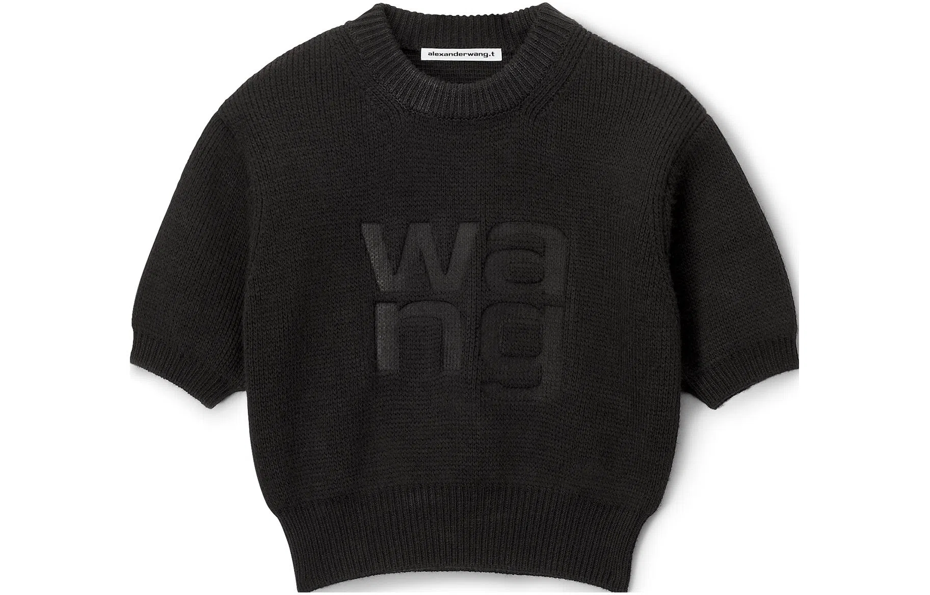 alexander wang T