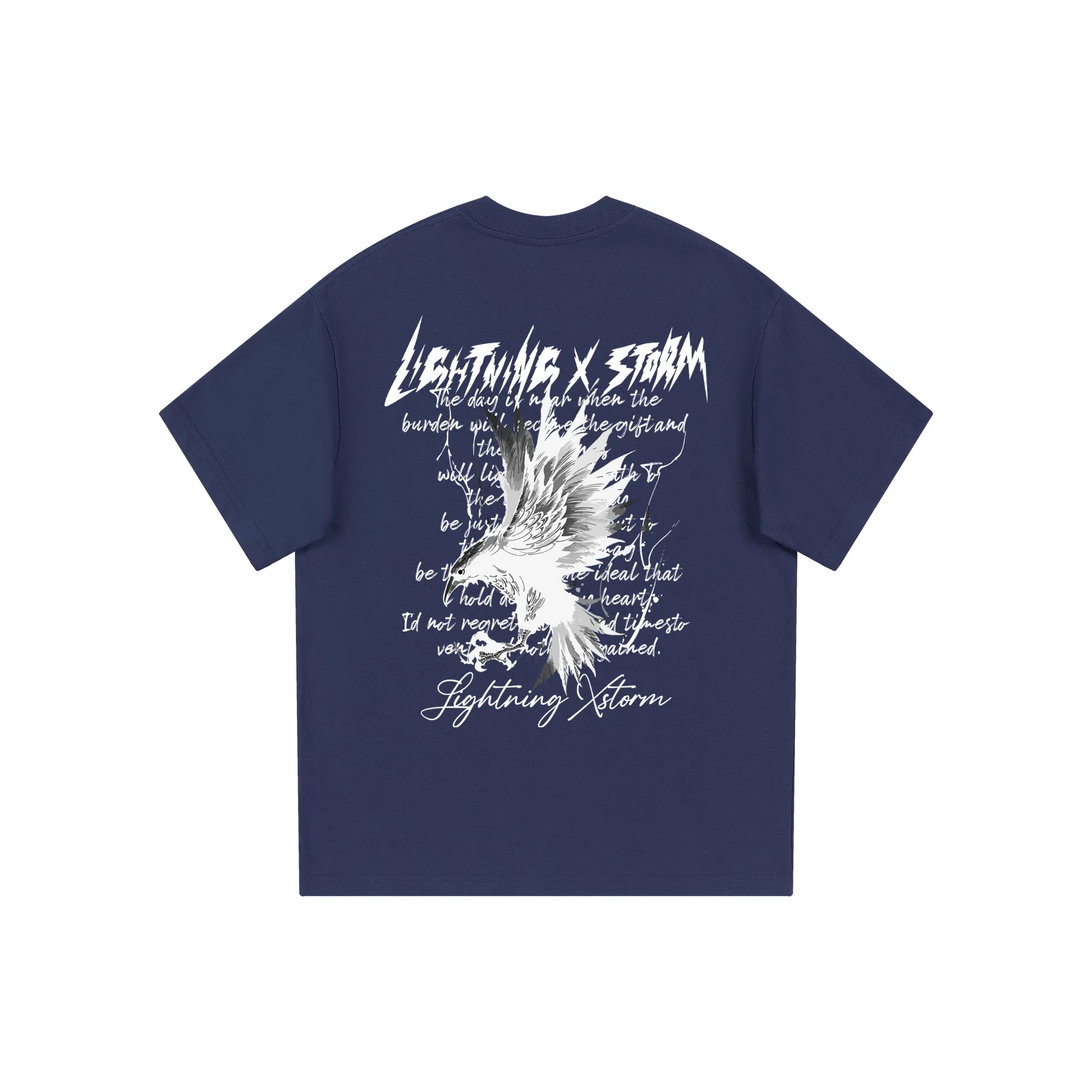 Lightning X Storm T