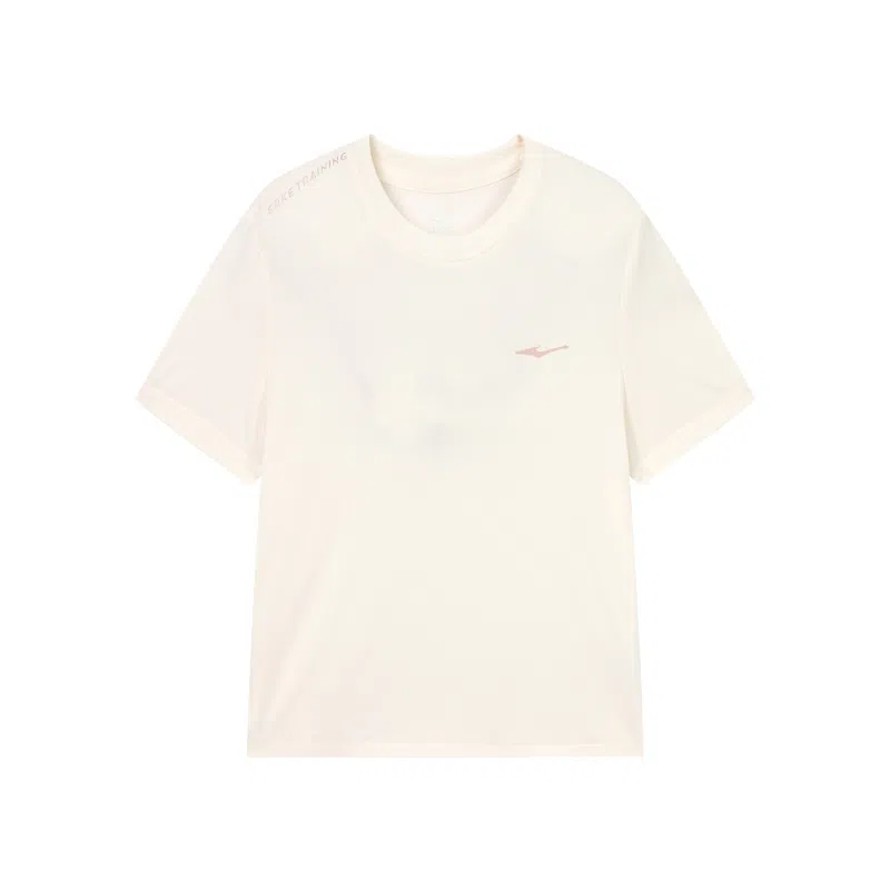 logo T DS