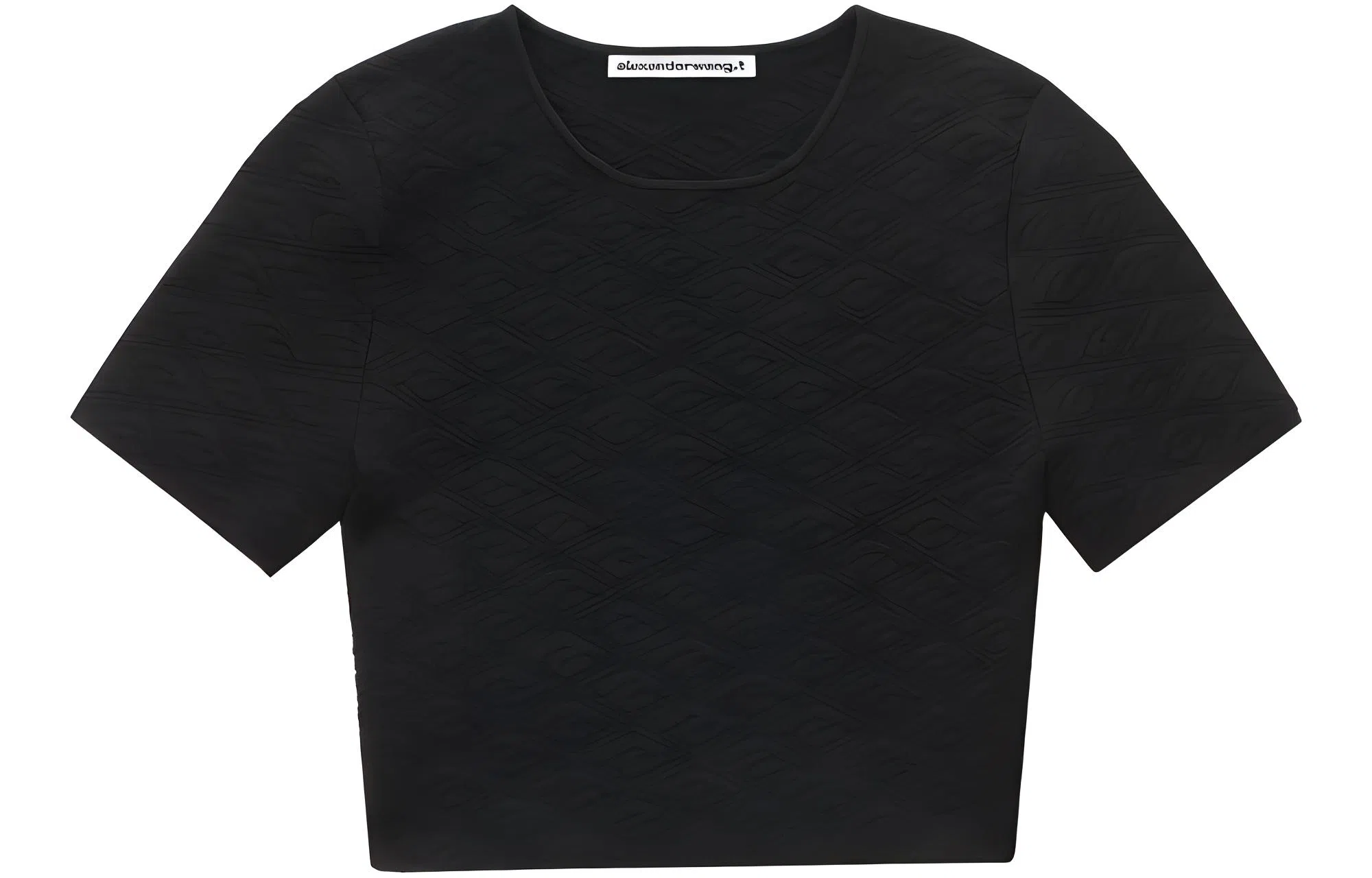alexander wang T