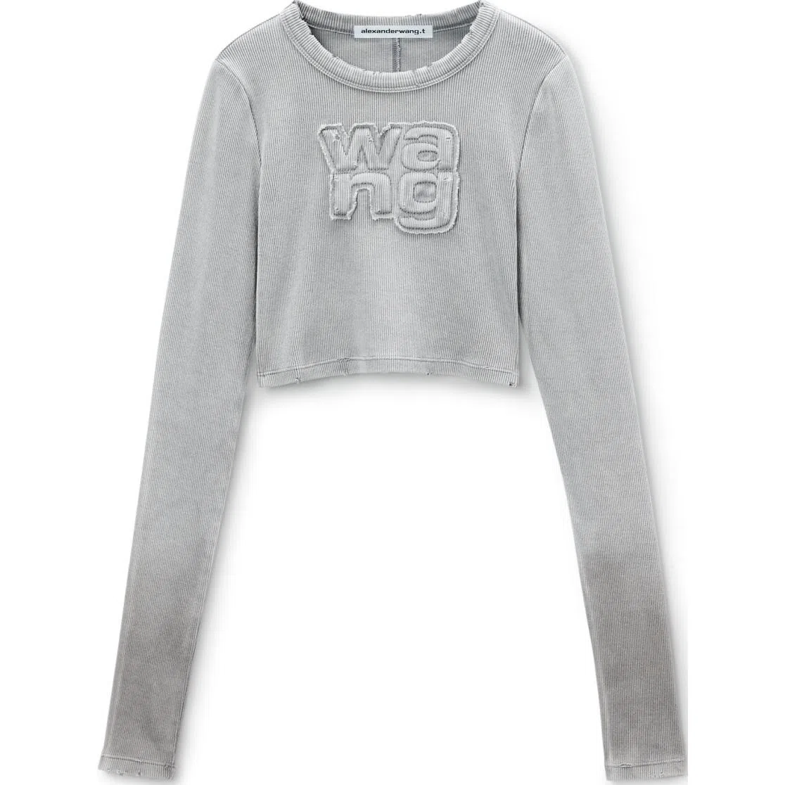 alexander wang FW24 T