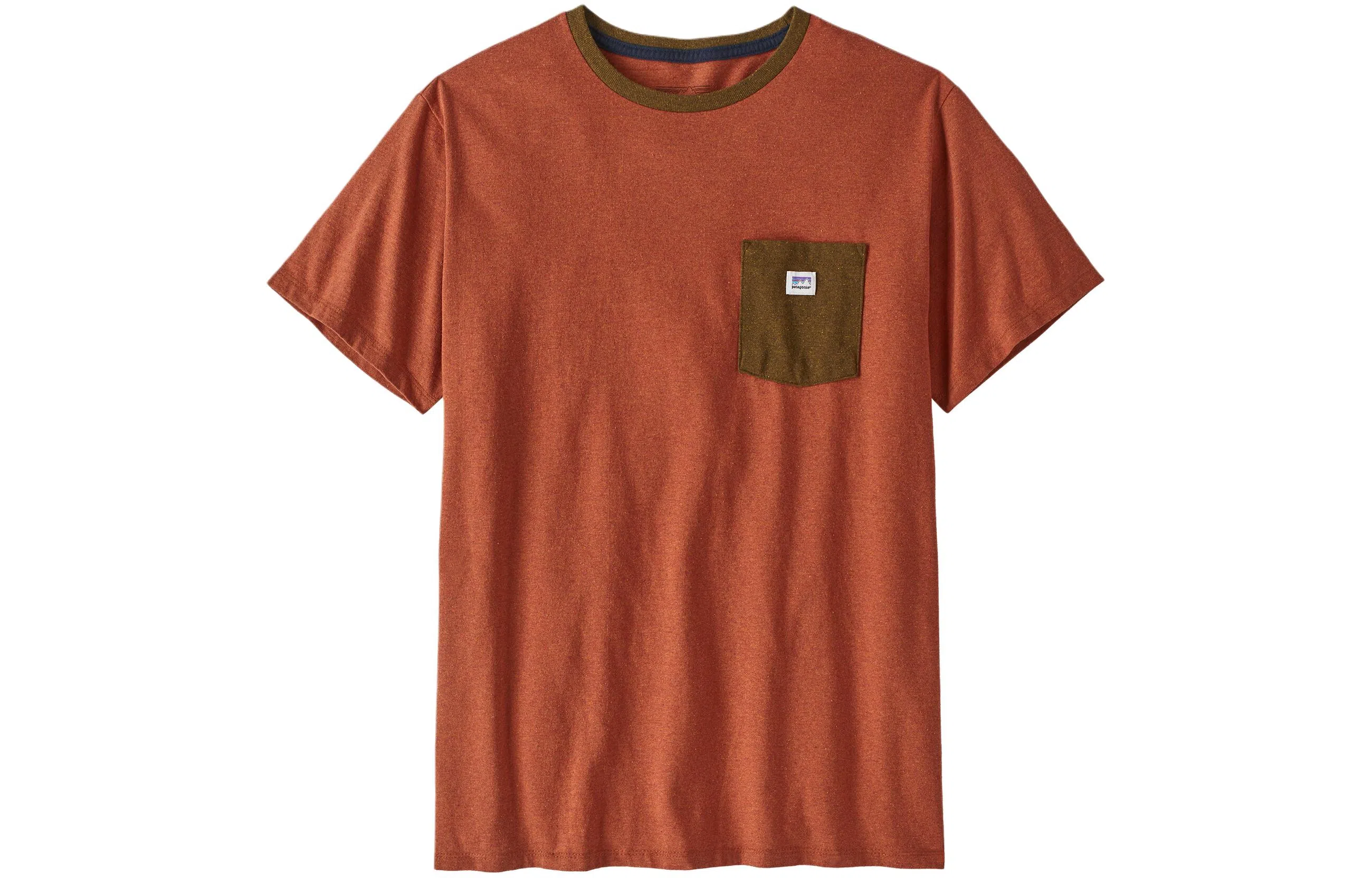 patagonia T