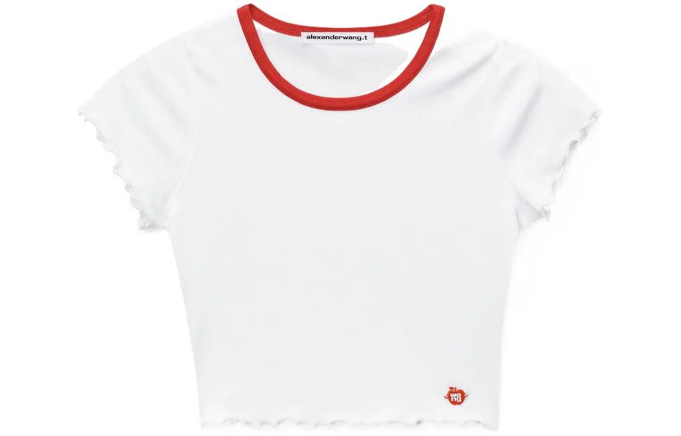 alexander wang T