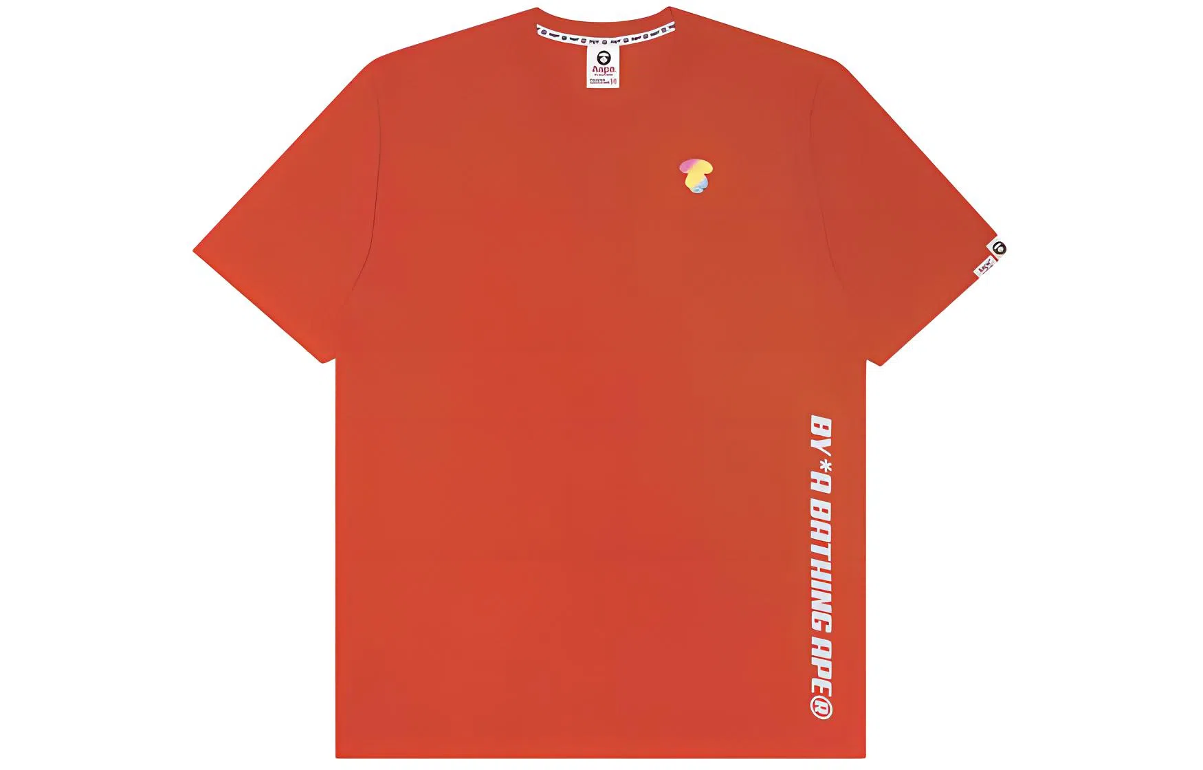 Aape T