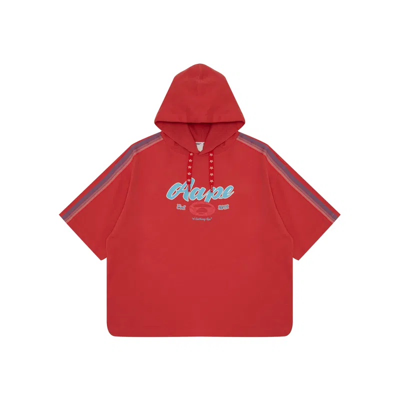 Aape T