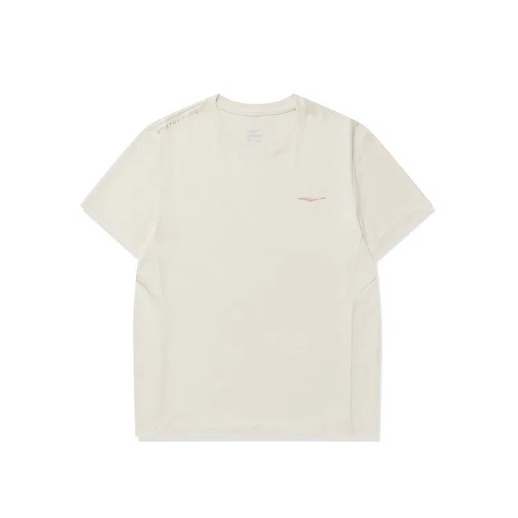 logo T DS
