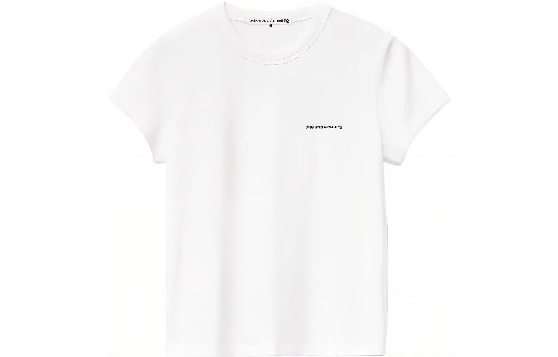 alexander wang FW22 T