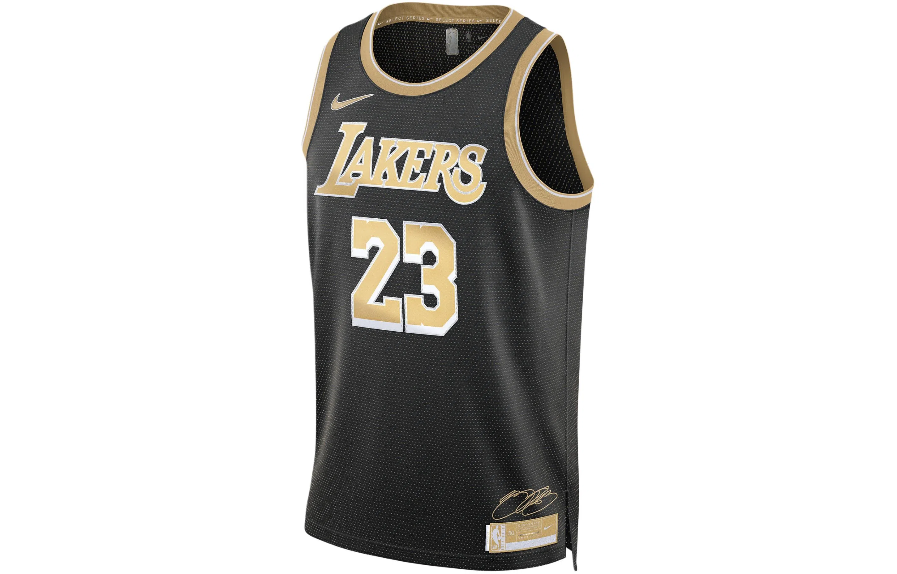 Nike x NBA LeBron James Los Angeles Lakers 2024 Select Series